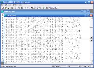 Cygnus Hex Editor Free Edition